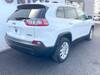 CHRYSLER JEEP CHEROKEE