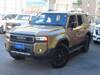TOYOTA LANDCRUISER 250