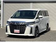 2019 TOYOTA ALPHARD