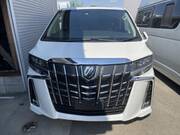 2022 TOYOTA ALPHARD S CPACKAGE