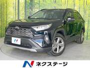 2019 TOYOTA RAV4 G
