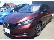 2021 NISSAN LEAF G