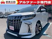 2019 TOYOTA ALPHARD
