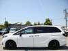 HONDA OTHER