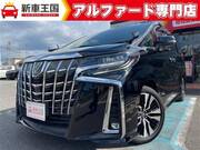 2019 TOYOTA ALPHARD