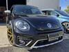 VOLKSWAGEN THE BEETLE
