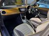 VOLKSWAGEN THE BEETLE