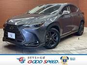 2022 LEXUS NX