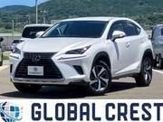 2019 LEXUS NX
