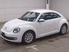 VOLKSWAGEN THE BEETLE