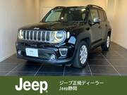 2021 CHRYSLER JEEP RENEGADE