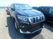 2019 TOYOTA LAND CRUISER PRADO TX