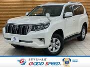 2019 TOYOTA LAND CRUISER PRADO