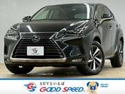 2019 LEXUS NX