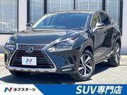 2019 LEXUS NX