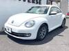 VOLKSWAGEN THE BEETLE