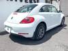 VOLKSWAGEN THE BEETLE