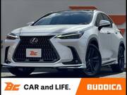 2023 LEXUS NX