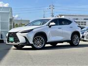 2024 LEXUS NX