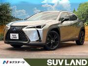 2021 LEXUS UX