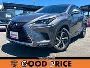 2019 LEXUS NX