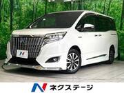 2019 TOYOTA ESQUIRE