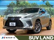 2022 LEXUS RX