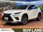 2019 LEXUS NX