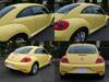 VOLKSWAGEN THE BEETLE