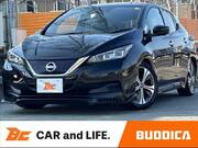 2020 NISSAN LEAF