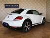 VOLKSWAGEN THE BEETLE