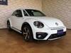 VOLKSWAGEN THE BEETLE