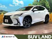 2022 LEXUS NX
