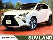 2019 LEXUS NX