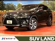 2019 LEXUS NX