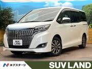 2017 TOYOTA ESQUIRE Gi Premium PKG