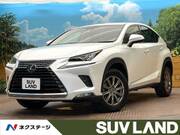 2018 LEXUS NX