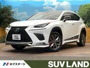 2020 LEXUS NX