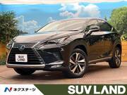2018 LEXUS NX