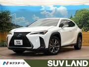 2019 LEXUS UX
