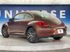VOLKSWAGEN THE BEETLE