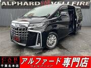 2019 TOYOTA ALPHARD HYBRID