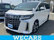 2020 TOYOTA ALPHARD G