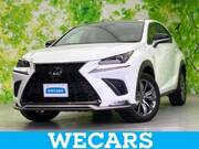 2019 LEXUS NX