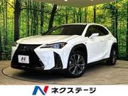 2019 LEXUS UX
