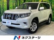 2019 TOYOTA LAND CRUISER PRADO TX