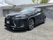 2019 LEXUS UX