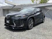 2019 LEXUS UX