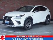 2019 LEXUS NX