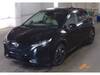 NISSAN OTHER